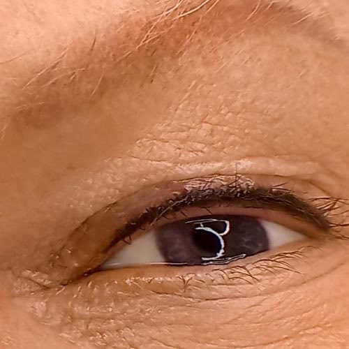 Permanent Make-up, Waxing, Microblading, Augenbrauen, Wipmern, Lidstrich, Lippen, Haare, Narben, Gesicht, dauerhaften kosmetischen Tätowierungen